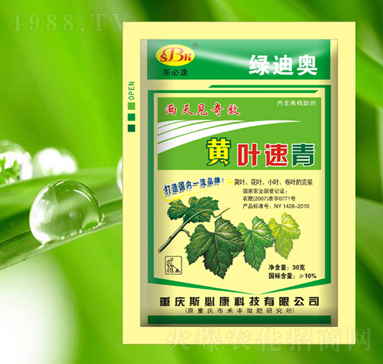 黃葉速青-綠迪奧-斯必康