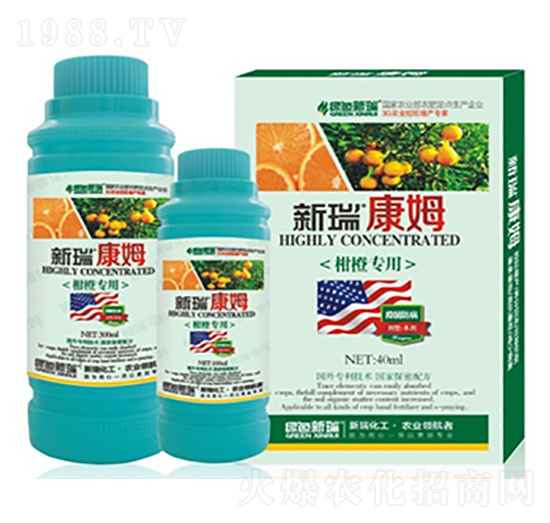 �̳Ȍ����~���-����