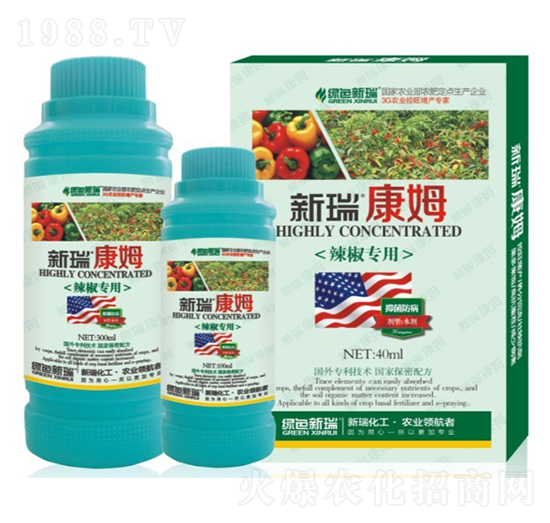 �����~���-����