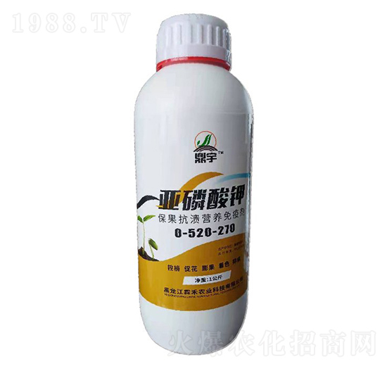 �������-�غ��r(n��ng)�I(y��)