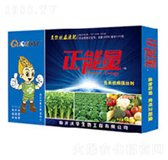 �߲ˌ�(zhu��n)�����L(zh��ng)������(qi��ng)�ф�-������