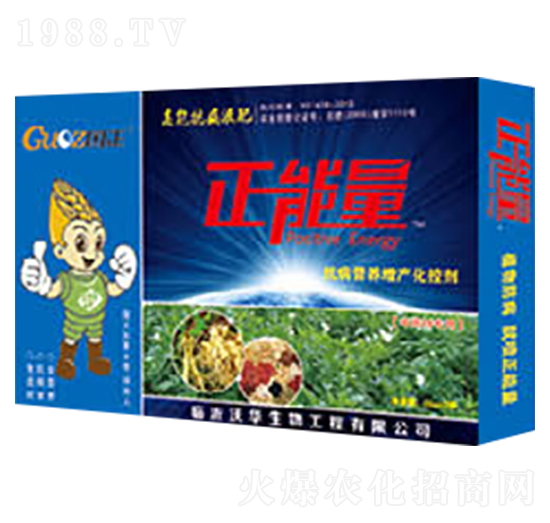 ��ˎ�Ŀ����I�B(y��ng)���a(ch��n)���؄�-������