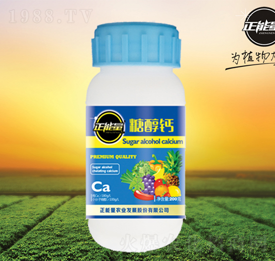 200g�Ǵ��}-������