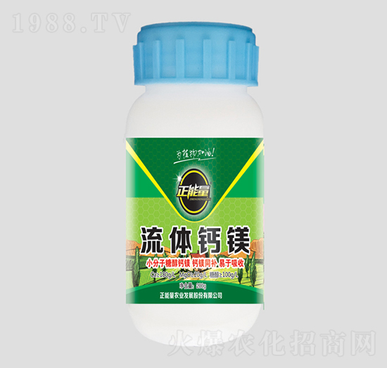 ���w�}�V-������