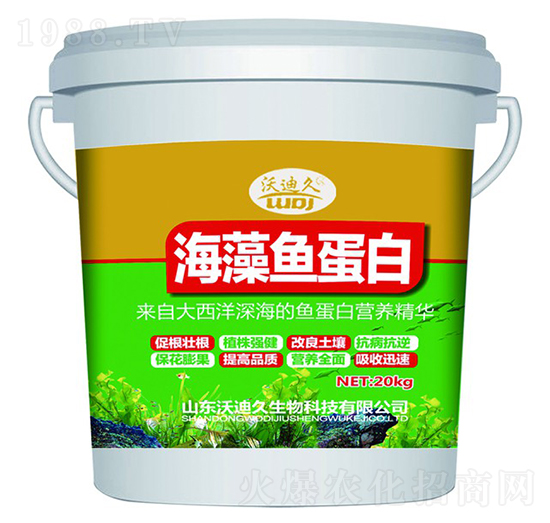 �����~����-�ֵϾ�