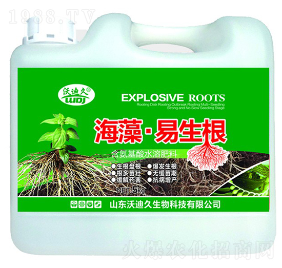 ���塤������-�ֵϾ�