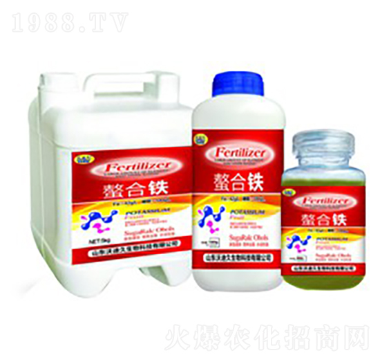 ��һԪ�ط���-�����F-�ֵϾ�