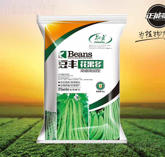 ������f�͛_ʩ��-���S��������-������