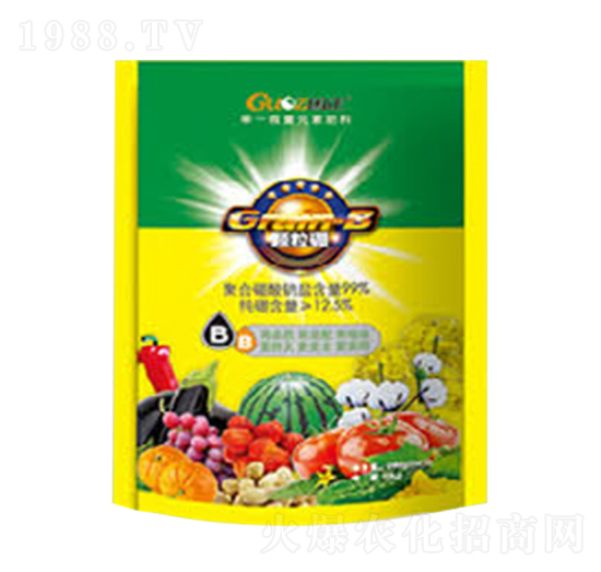 �w����-������