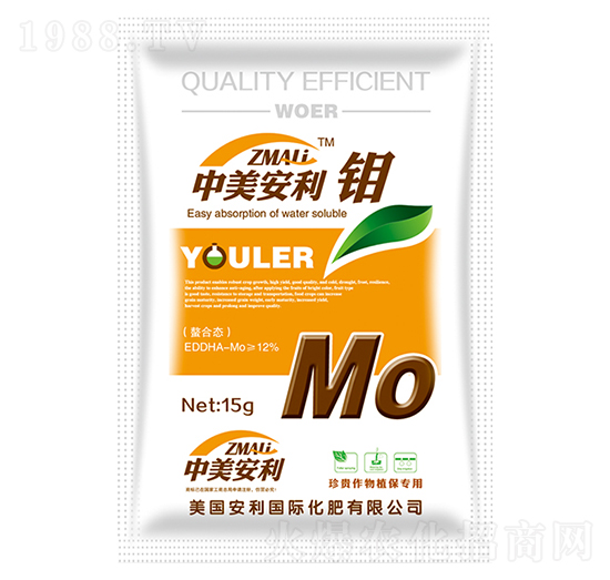 15g���������f-�֠�