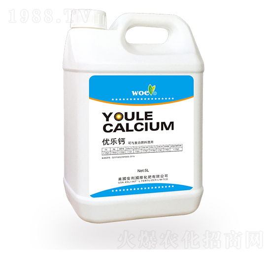 ��(y��u)��(l��)�}-�֠�