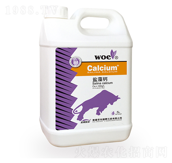 �}���}-�֠�