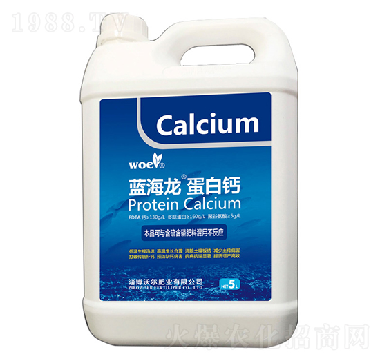 �{(l��n)���������}-�֠�