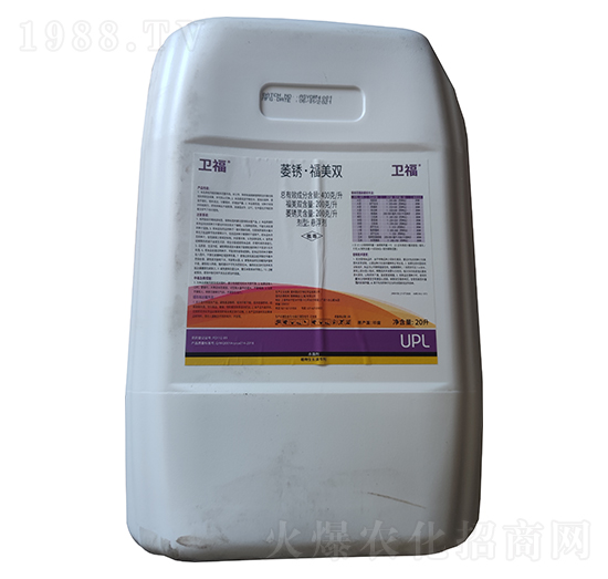 20��ή�P�������p-�l(w��i)��-�۷N�r�I(y��)