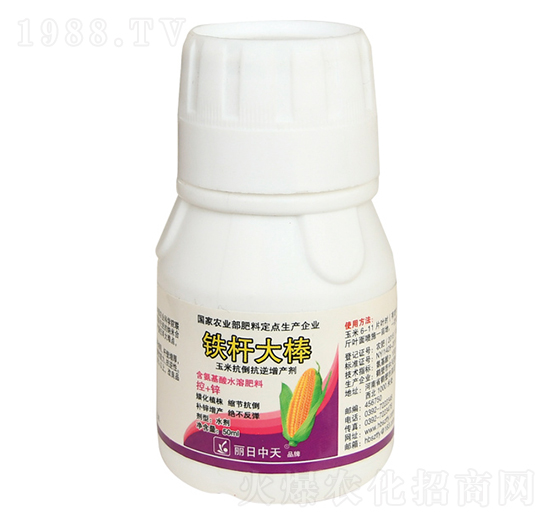 ���׿����������a��-�F�U���-����ʘI(y��)