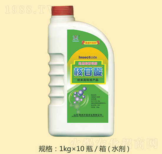 ������-�f(w��n)Ȫ�r(n��ng)��