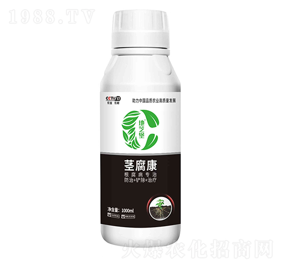 �o����-������