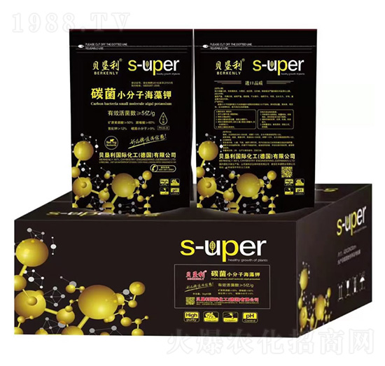 ̼��С���Ӻ����-ؐ����