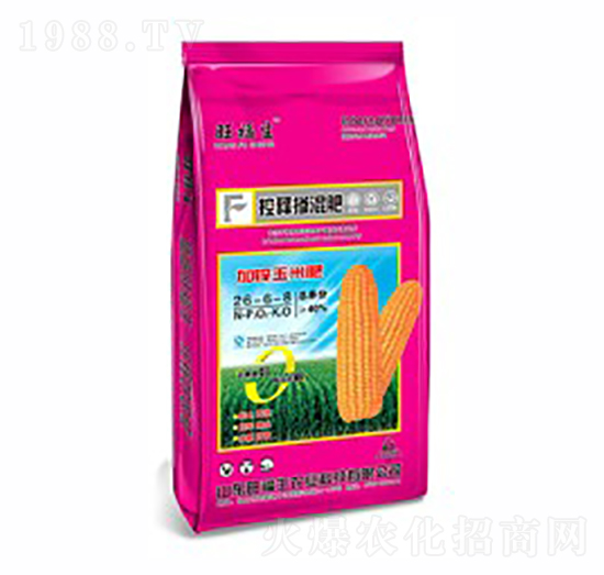 ��ጓ����26-6-8-������