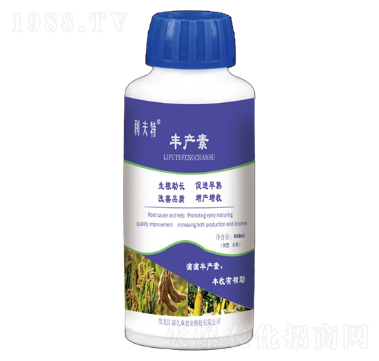 �S�a(ch��n)��-�����r(n��ng)�I(y��)