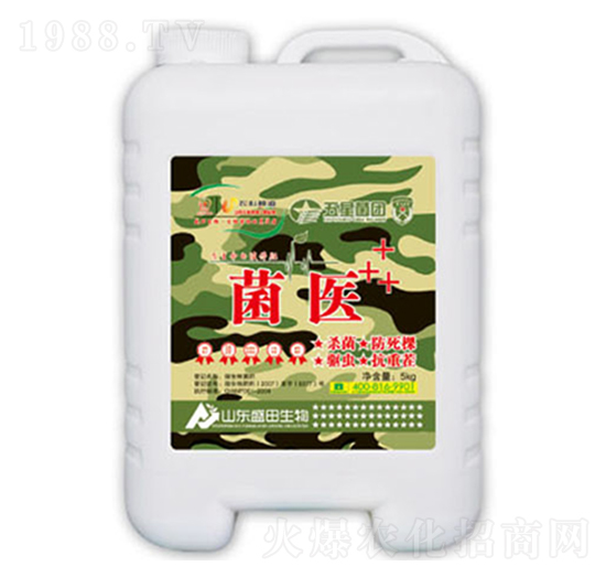 ���t(y��)-ʢ������