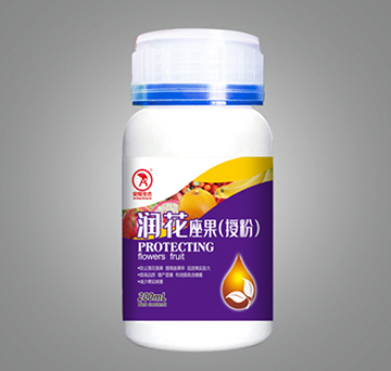 ��(r��n)���������ڷۣ�-��¡���B(t��i)