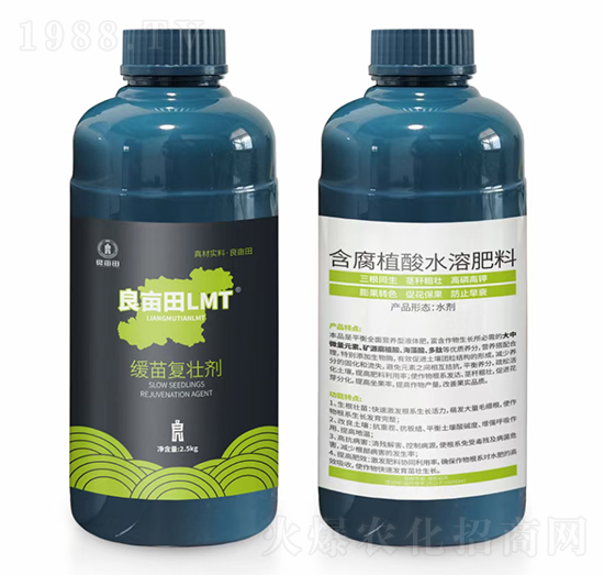 ����͉ф�-������LMT-������