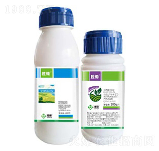 ���z-���՘�(l��)