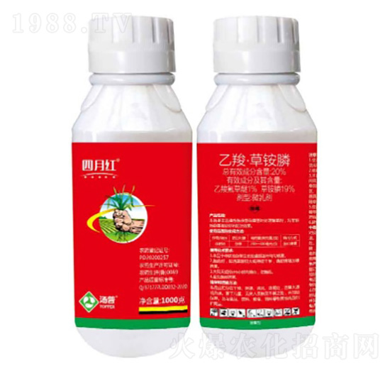 20%���ȡ����@�΢�鄩-���¼t-���՘�(l��)