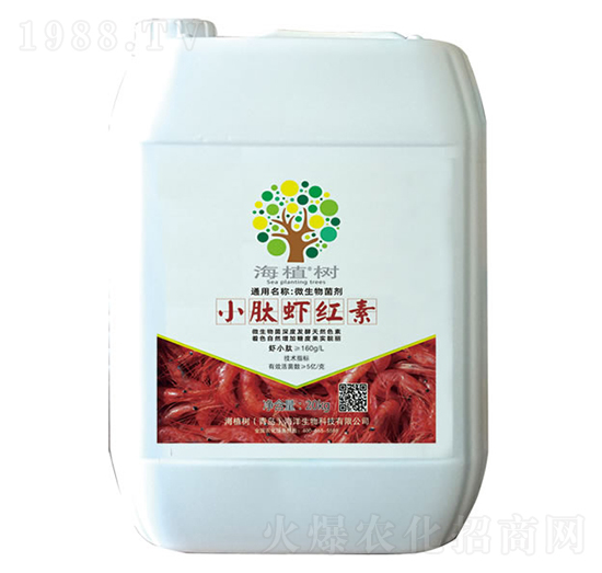 С���r�t��-��ֲ��(sh��)