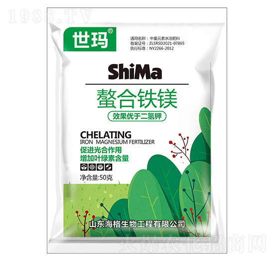 �����F�V-����-��������