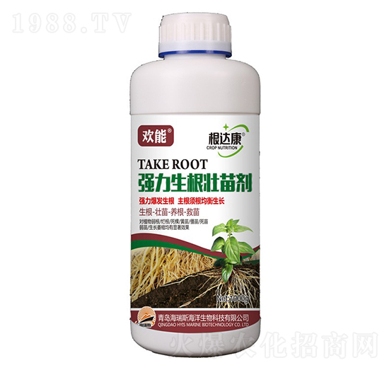 1000g�g�ܡ����_(d��)������(qi��ng)���������焩-����˹