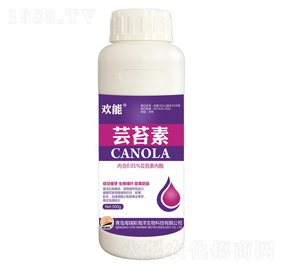 500g�g�ܡ��|̦��-����˹