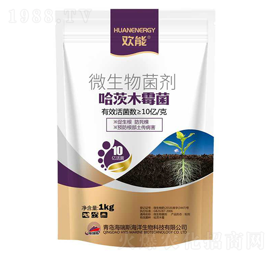 ����ľù��-�g��-����˹