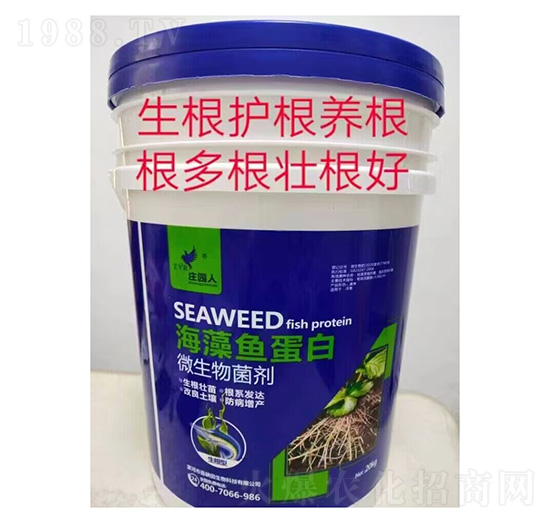 �����ͺ����~����΢�������-�f�@��-ϲ����