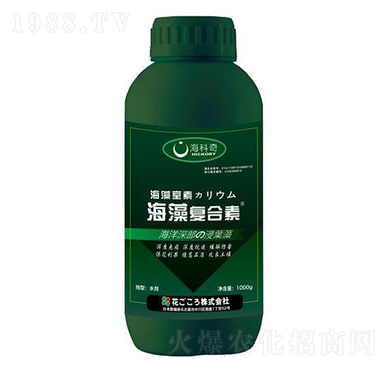 �����(f��)����-������