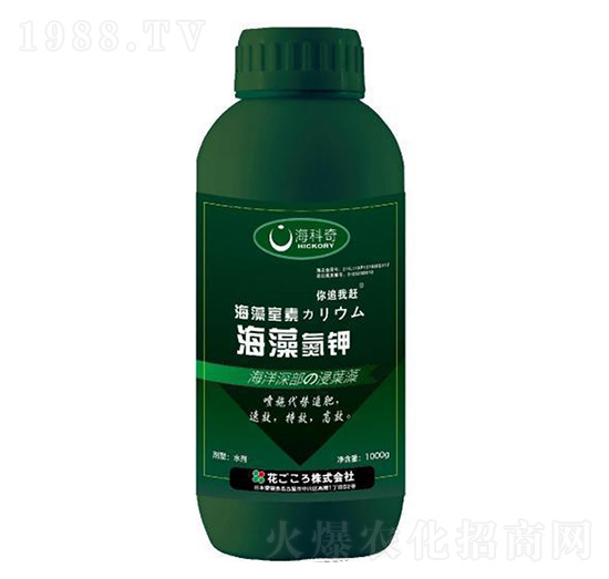 ���嵪�-������