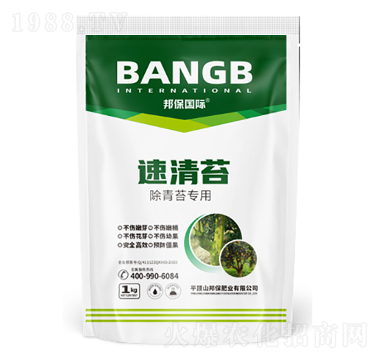 ����̦��(zhu��n)��-����̦-���(gu��)�H