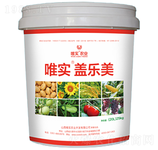 Ψ��(sh��)���w��(l��)��