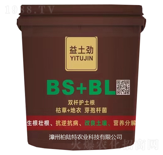 ������-�����