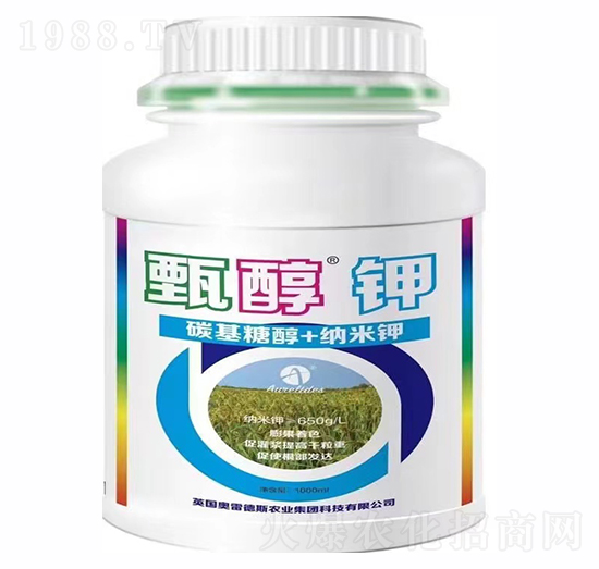 �紼�-�W�׵�˹