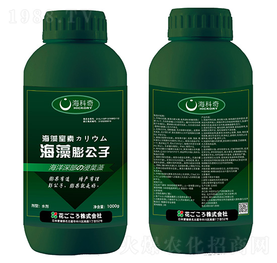 ��������-������