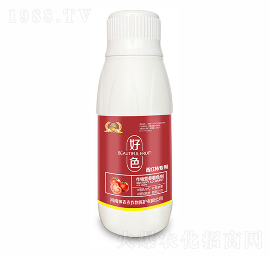 ���ь����~���-��ɫ-�������r