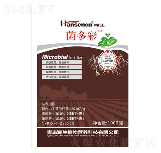 ΢�������-�����-���