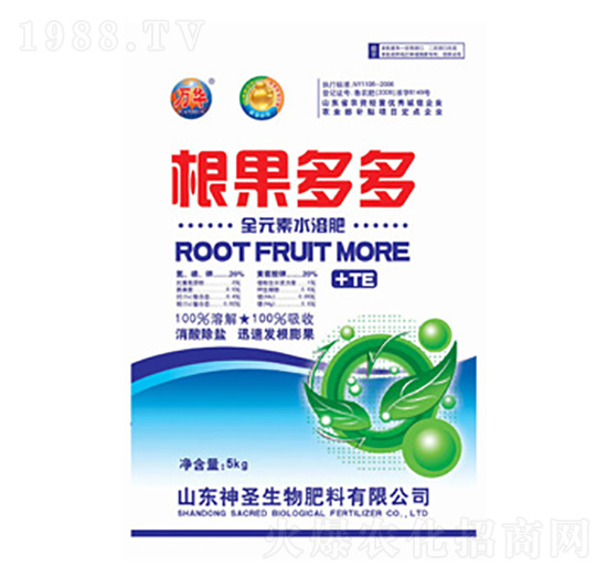 �������-��ʥ����