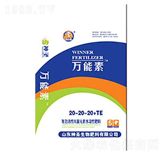 �~���20-20-20+TE-��ʥ����