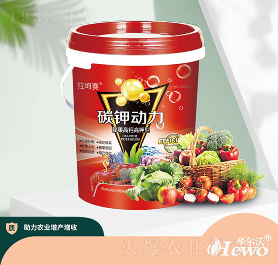 ������}�����̼⛄���-�A����