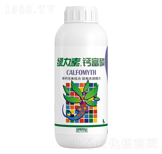 �G�����}����-�����ط�