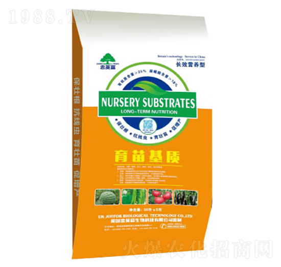 ������|(zh��)-�|���S