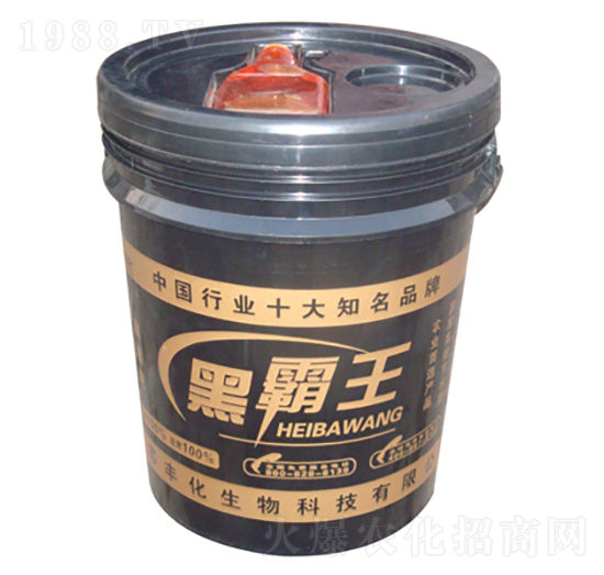 �ڰ���1̖(h��o)-�S��